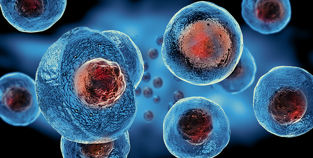 Stem Cells, Cellular Therapy